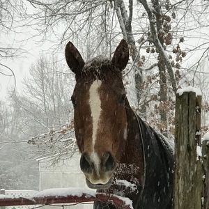 Meet your Posher, Grace